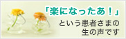 Ԥޤδۡܺ٤